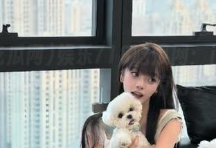 娱乐718吃瓜网：ios用户的专属，最近又双叒叕被惊艳了一把！