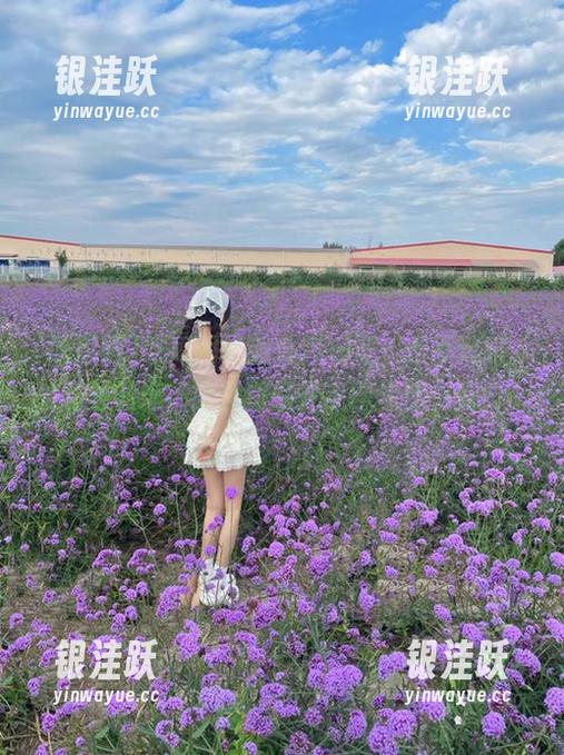 吃瓜网最新爆料一波，永不迷路，随时随地都能找到拨开迷雾的那一刻！