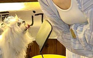 黑料老司机官网，深夜吃瓜不停，连月亮都在点赞不打烊！